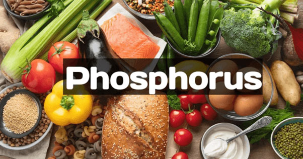 phosphorus-rich foods