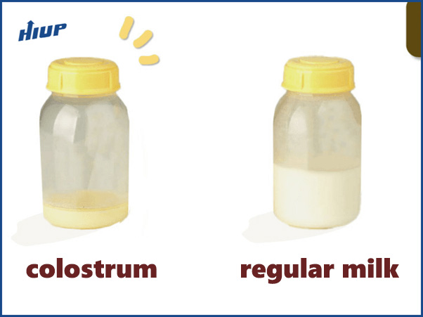 the benefits of colostrum