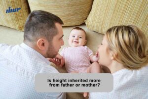 whether height is inherited from the father or mother