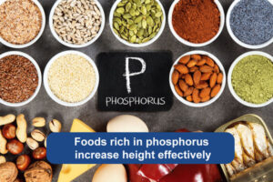 phosphorus-rich foods