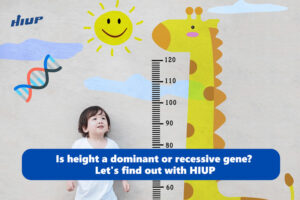 Is height a dominant or recessive gene?